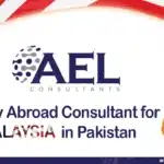 Study Abroad Consultant