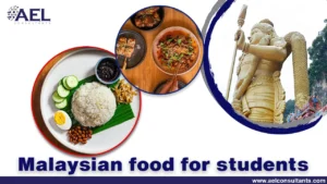 Malaysian food for students