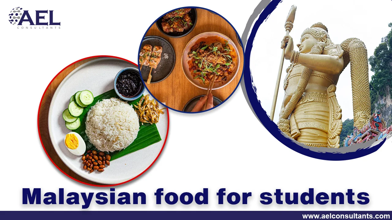 Malaysian food for students