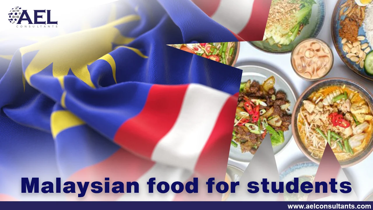 Malaysian food for students
